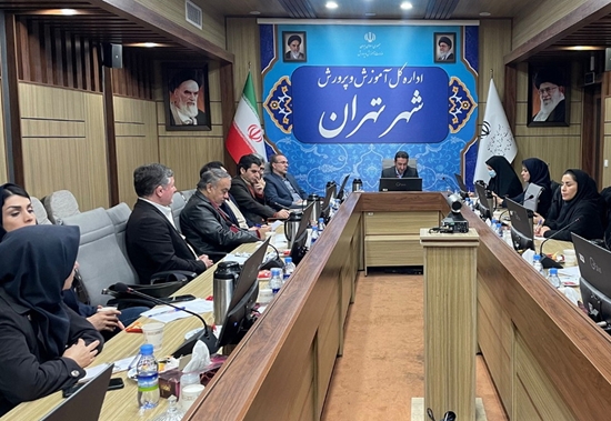 برگزاری دومین کارگروه پشتیبانی سوادآموزی با محوریت بررسی راهکارهای نگهداشت سوادآموزان 